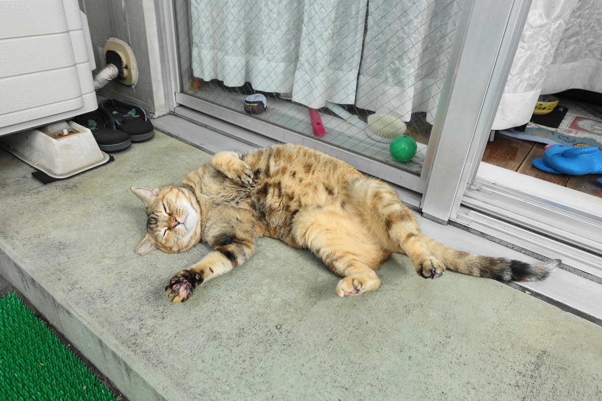 f:id:shigeo-t:20201020111114j:plain f:id:shigeo-t:20201020111114j:plain