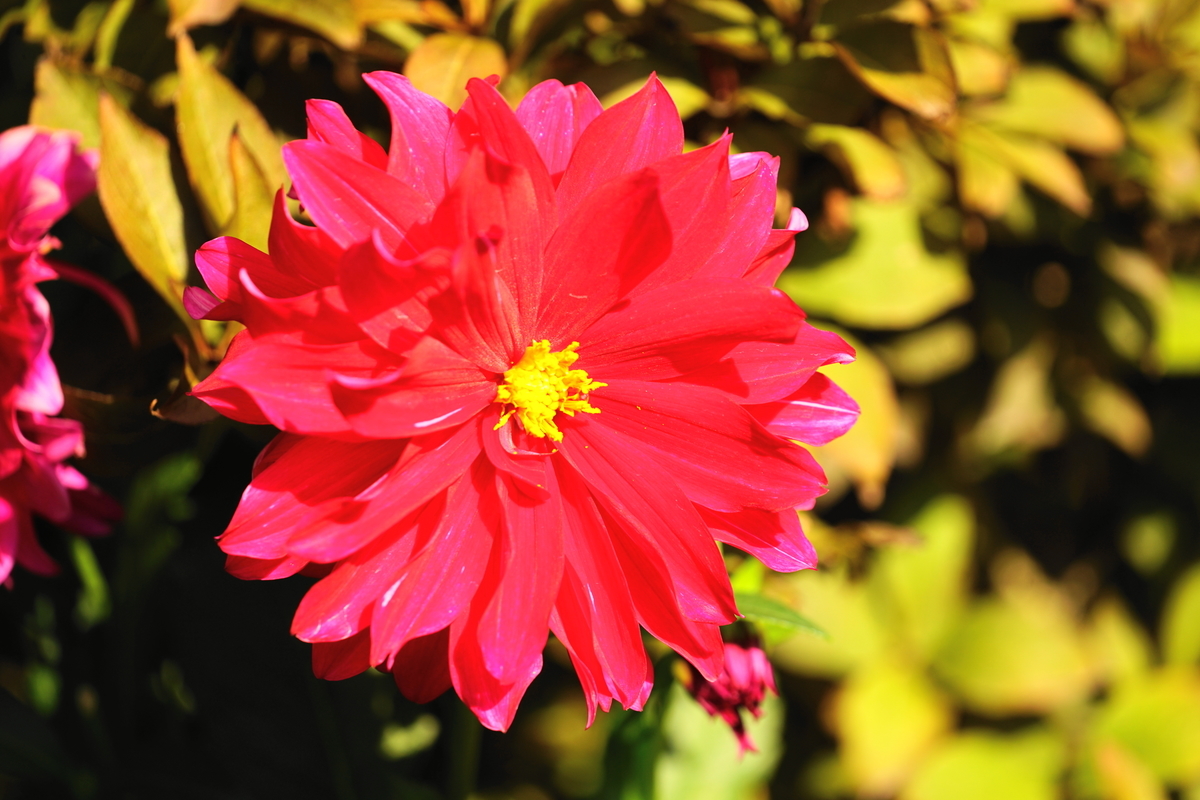 f:id:shigeo-t:20201021132518j:plain