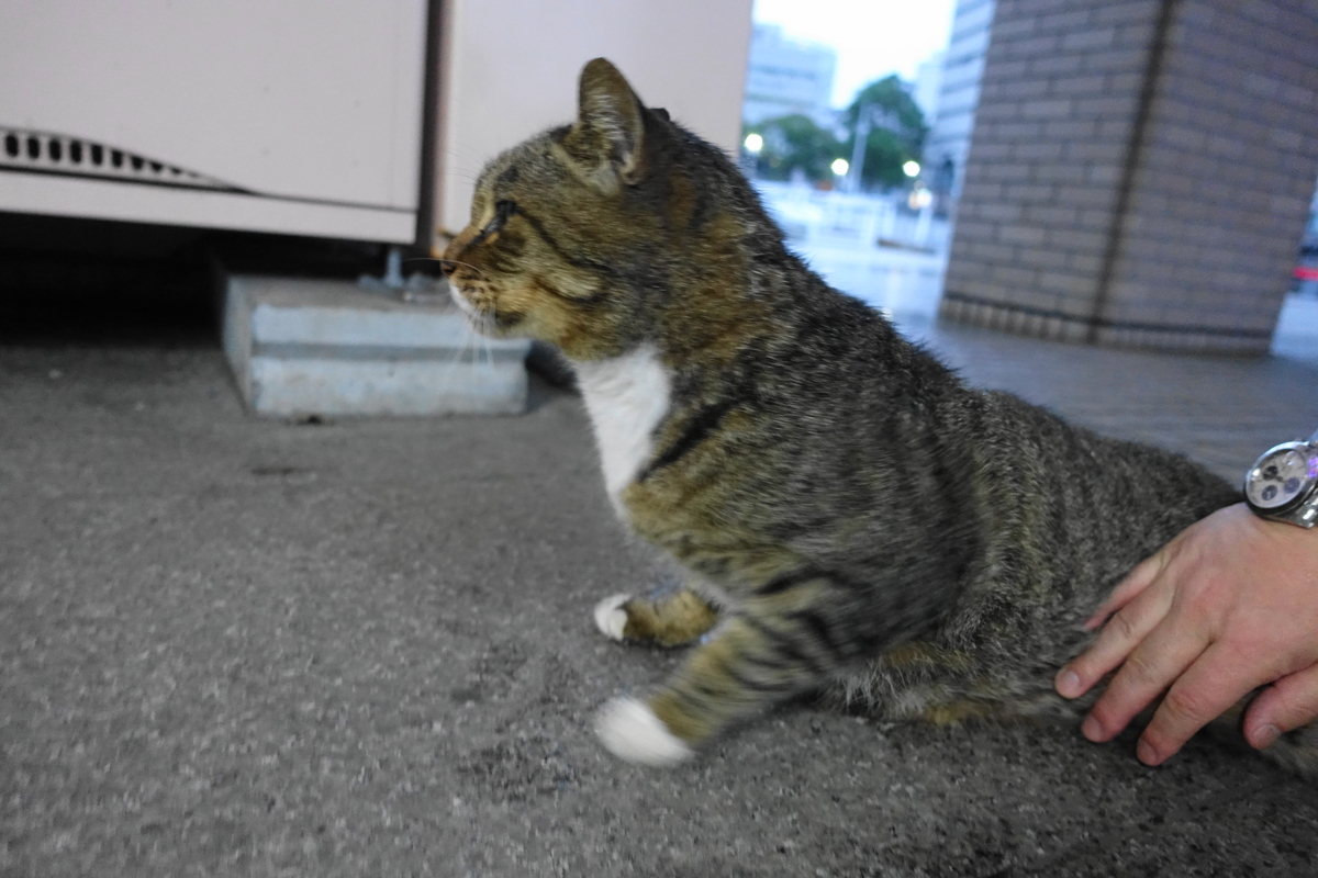 f:id:shigeo-t:20201022111725j:plain f:id:shigeo-t:20201022111725j:plain