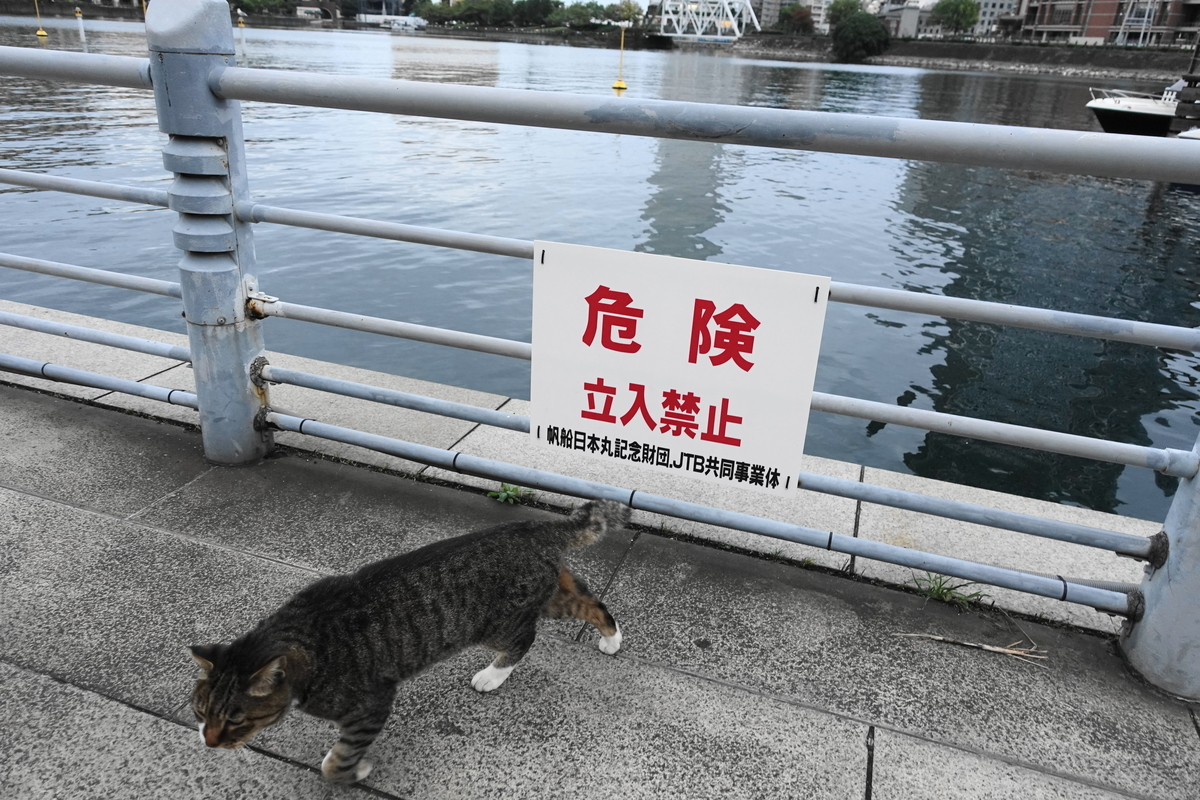 f:id:shigeo-t:20201022114319j:plain f:id:shigeo-t:20201022114319j:plain