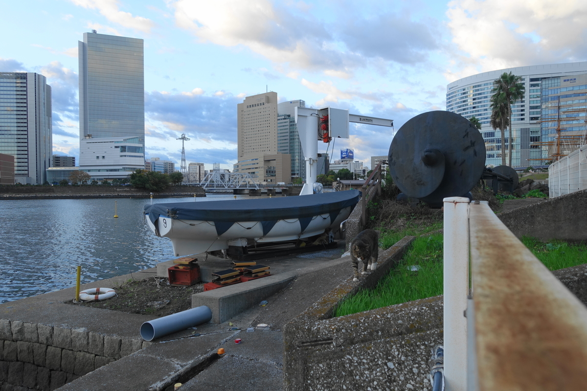 f:id:shigeo-t:20201027094530j:plain f:id:shigeo-t:20201027094530j:plain