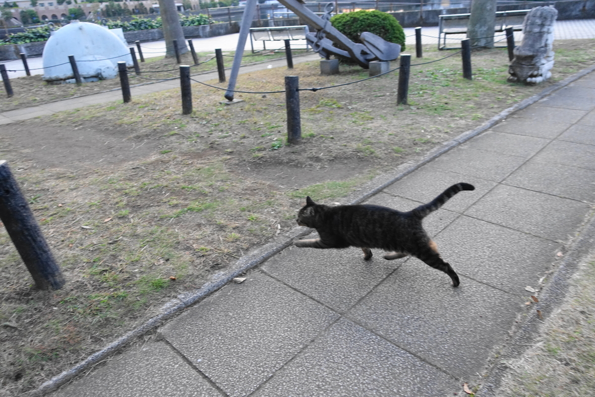 f:id:shigeo-t:20201027100513j:plain f:id:shigeo-t:20201027100513j:plain
