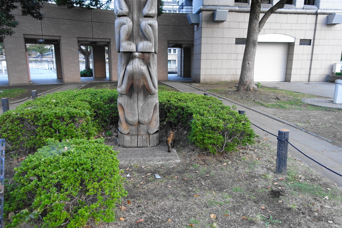 f:id:shigeo-t:20201027100531j:plain f:id:shigeo-t:20201027100531j:plain