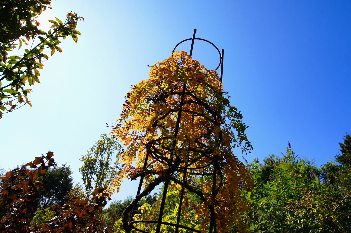 f:id:shigeo-t:20201031140924j:plain