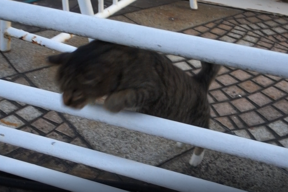 f:id:shigeo-t:20201109093922p:plain f:id:shigeo-t:20201109093922p:plain