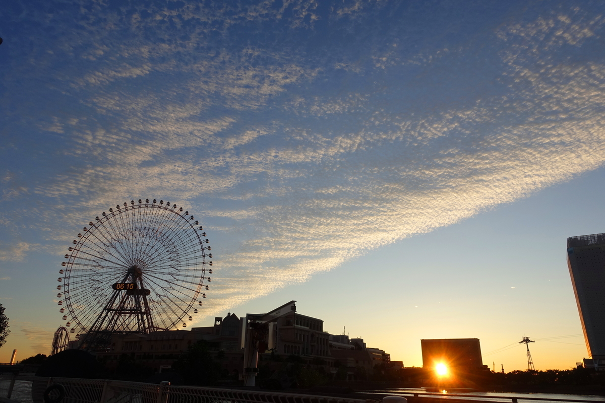 f:id:shigeo-t:20201111095032j:plain f:id:shigeo-t:20201111095032j:plain