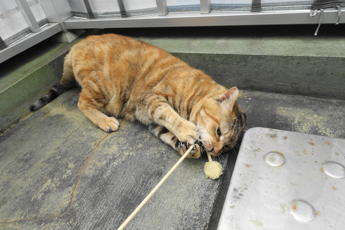 f:id:shigeo-t:20201121094632j:plain