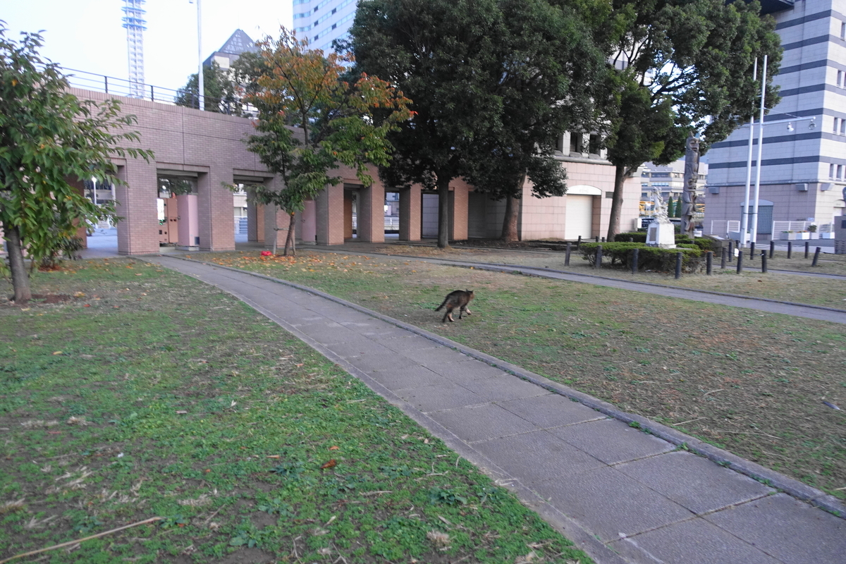 f:id:shigeo-t:20201130092547j:plain