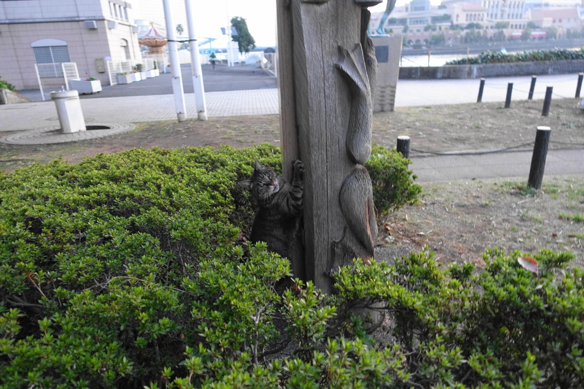 f:id:shigeo-t:20201130092736j:plain