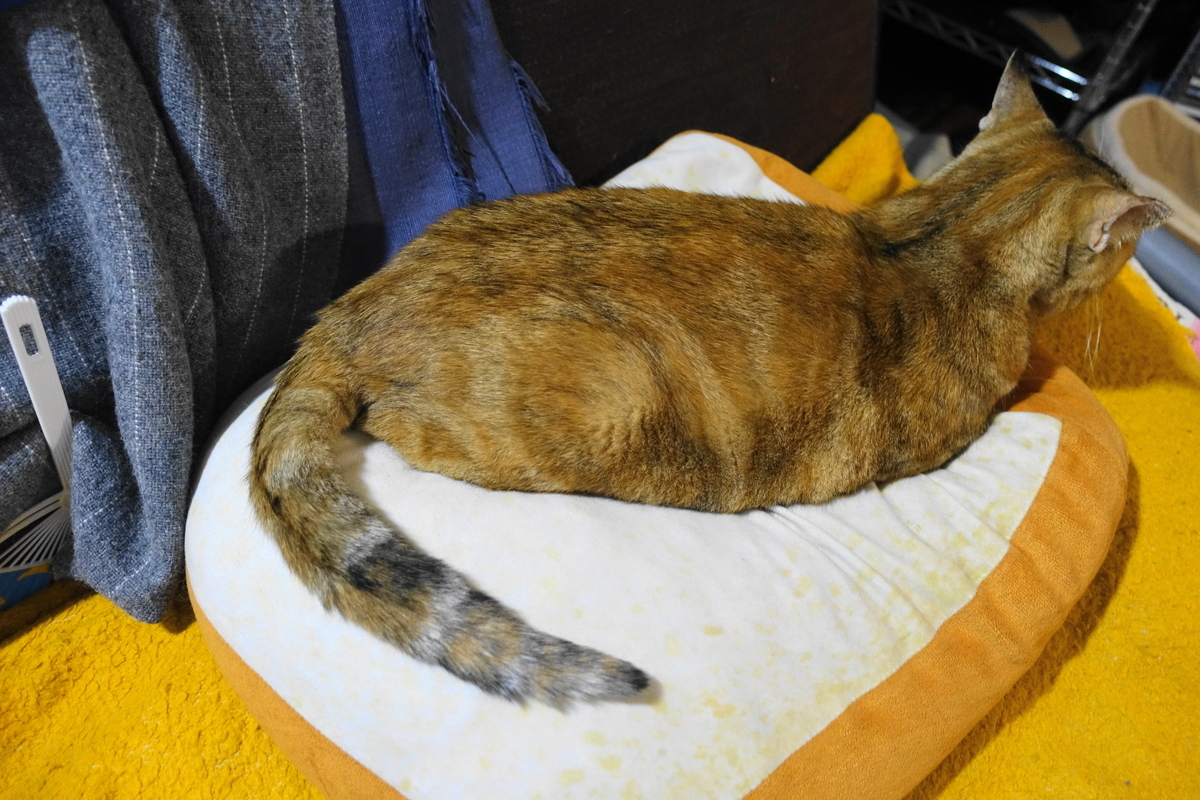 f:id:shigeo-t:20201204104000j:plain