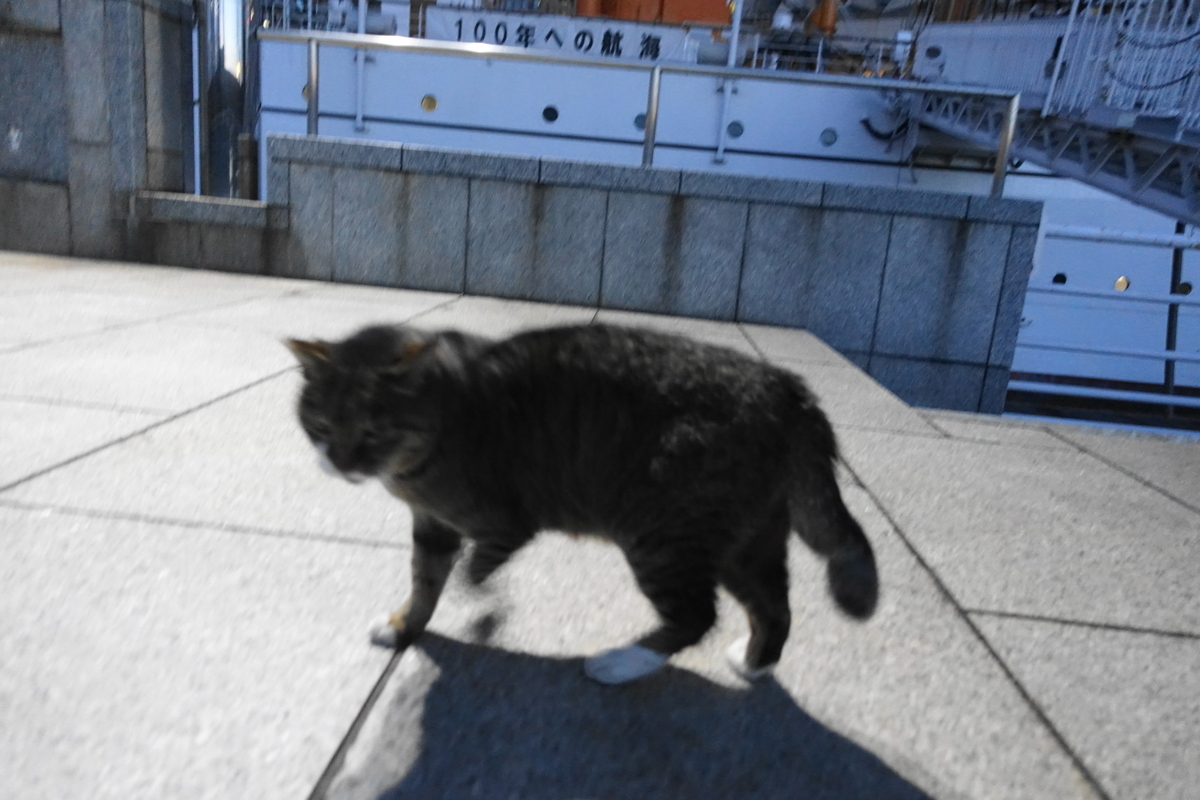 f:id:shigeo-t:20201209100527j:plain