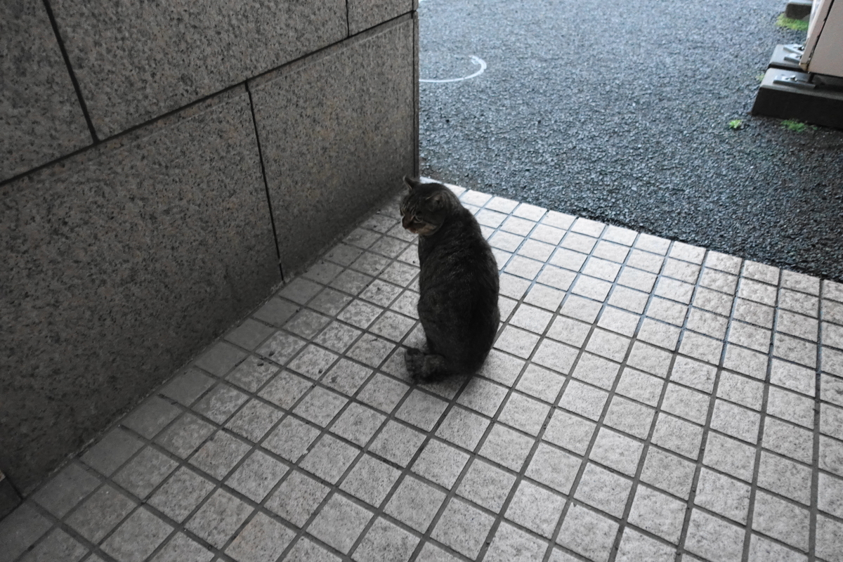 f:id:shigeo-t:20201212103523j:plain