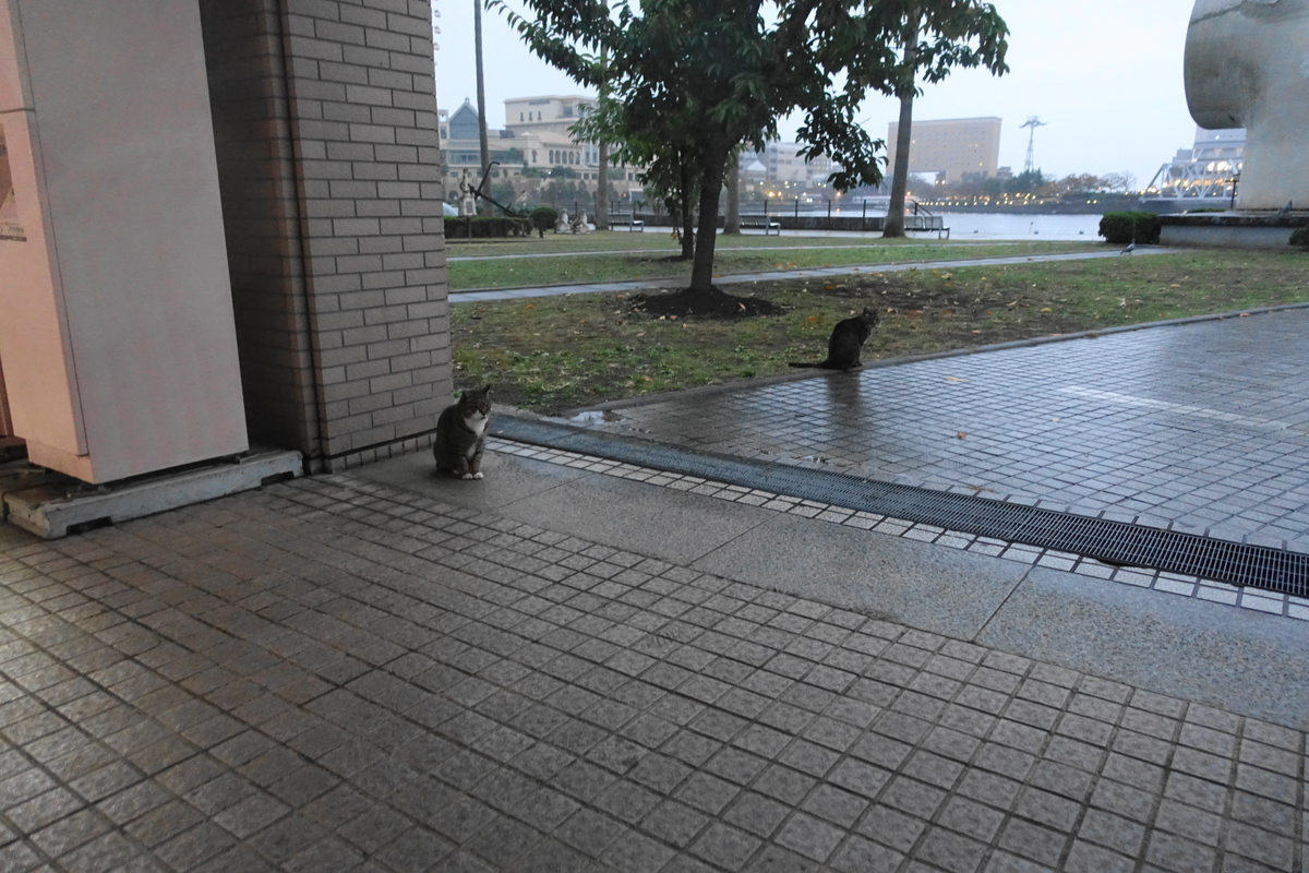 f:id:shigeo-t:20201212103647j:plain