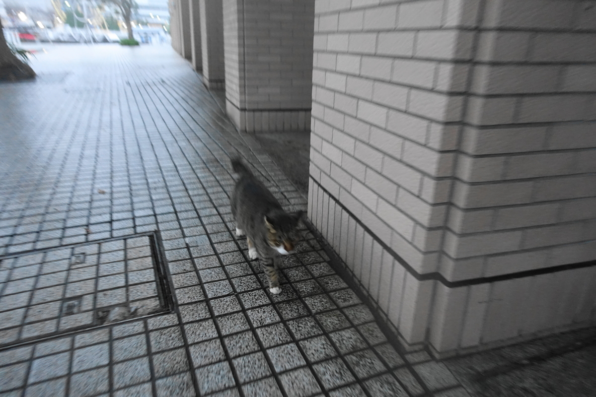 f:id:shigeo-t:20201212103900j:plain