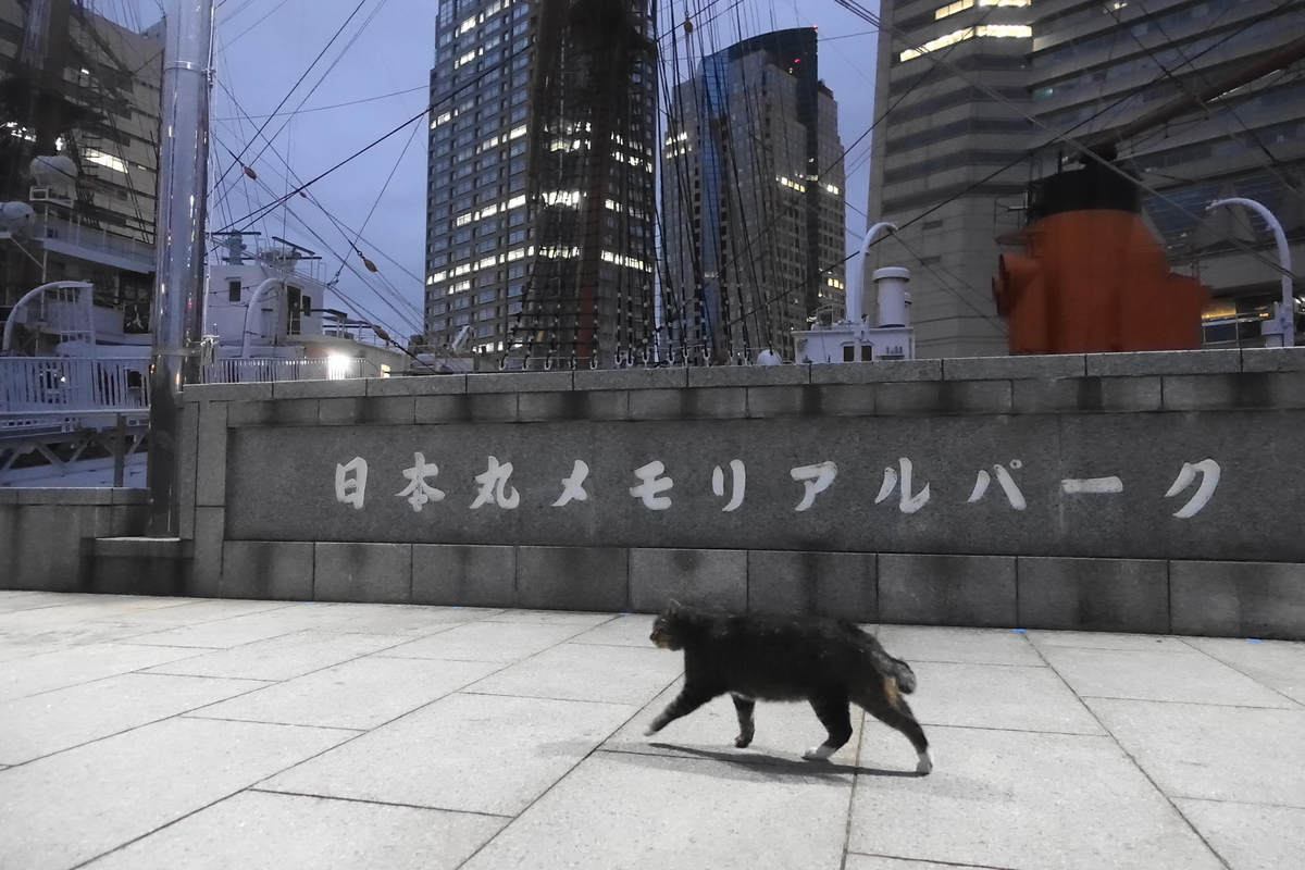 f:id:shigeo-t:20201216100920j:plain