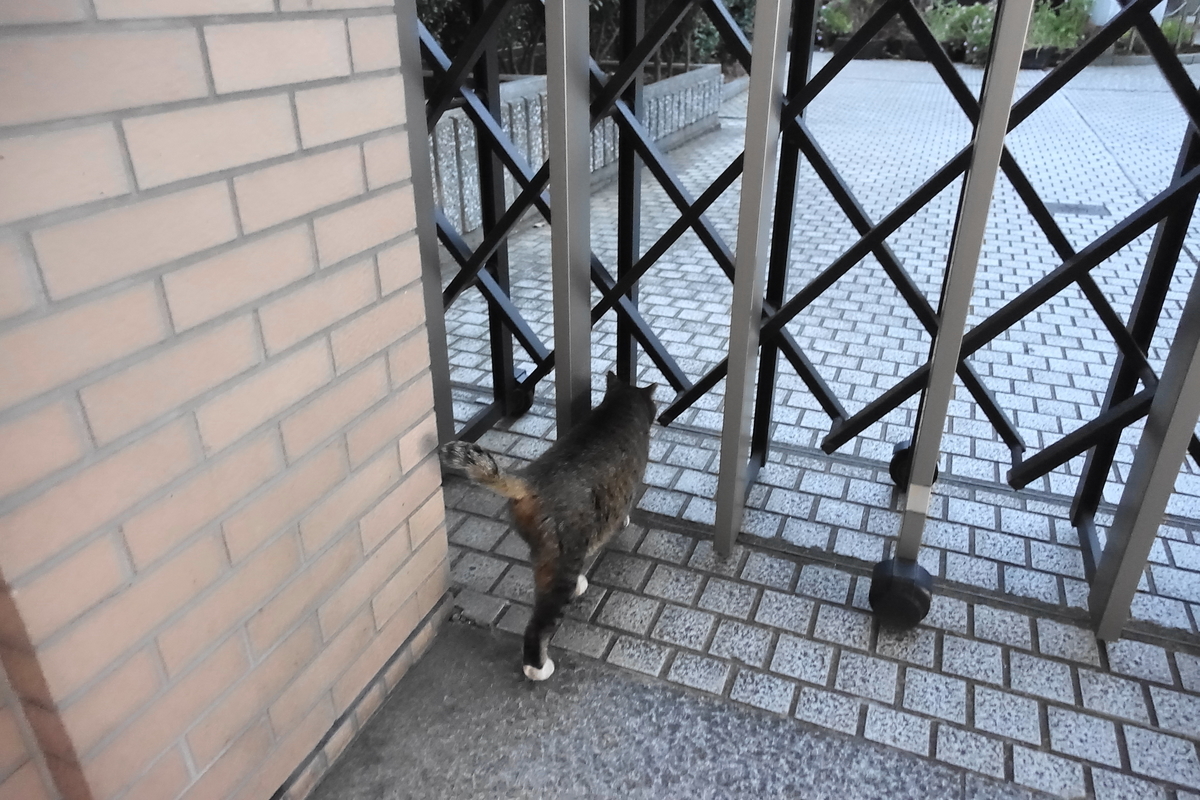 f:id:shigeo-t:20201216101641j:plain