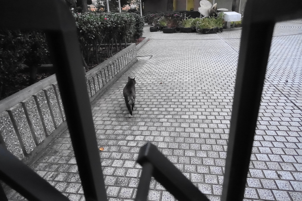 f:id:shigeo-t:20201216101651j:plain