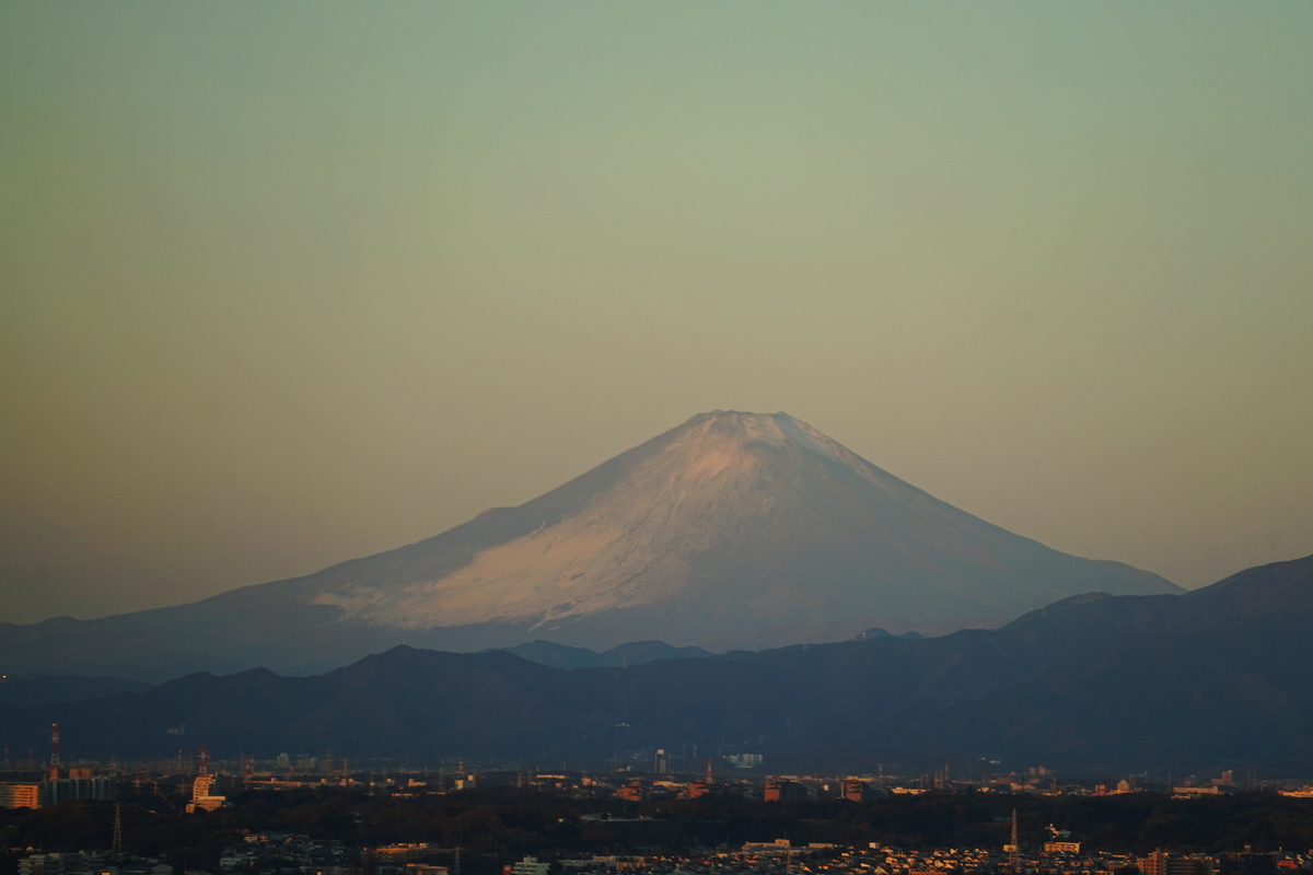 f:id:shigeo-t:20201218102511j:plain