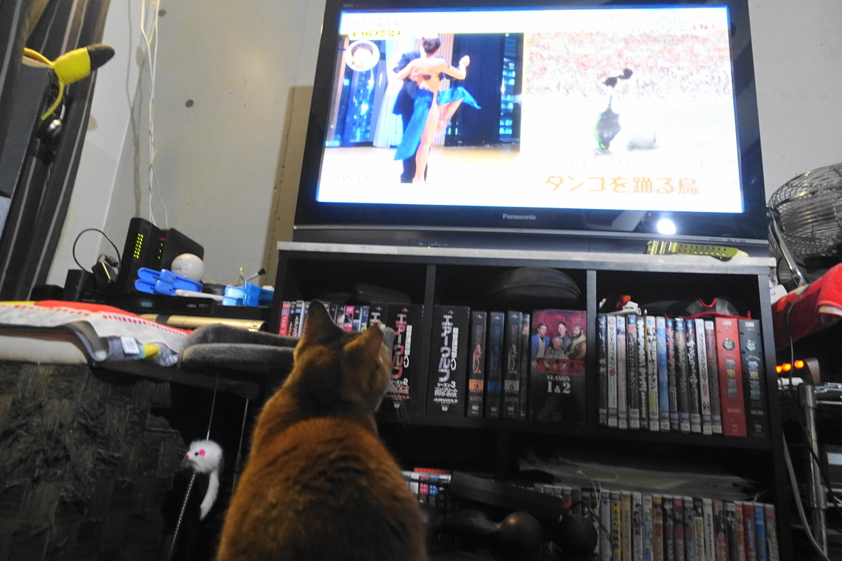 f:id:shigeo-t:20201220112408j:plain