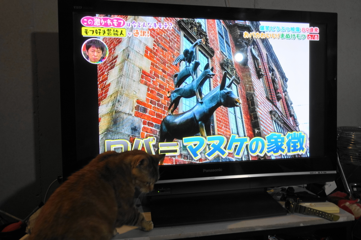 f:id:shigeo-t:20201220112514j:plain