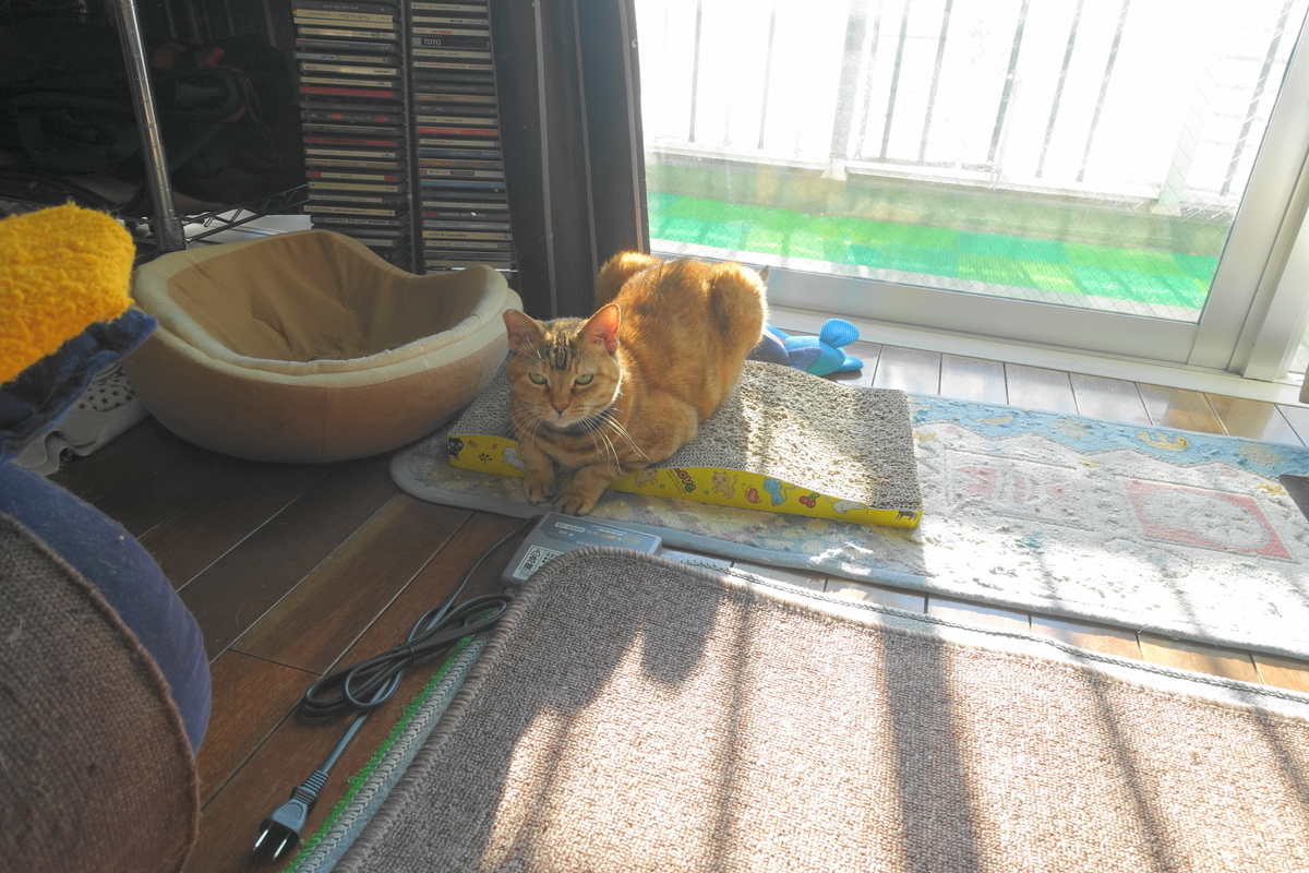 f:id:shigeo-t:20201220113138j:plain