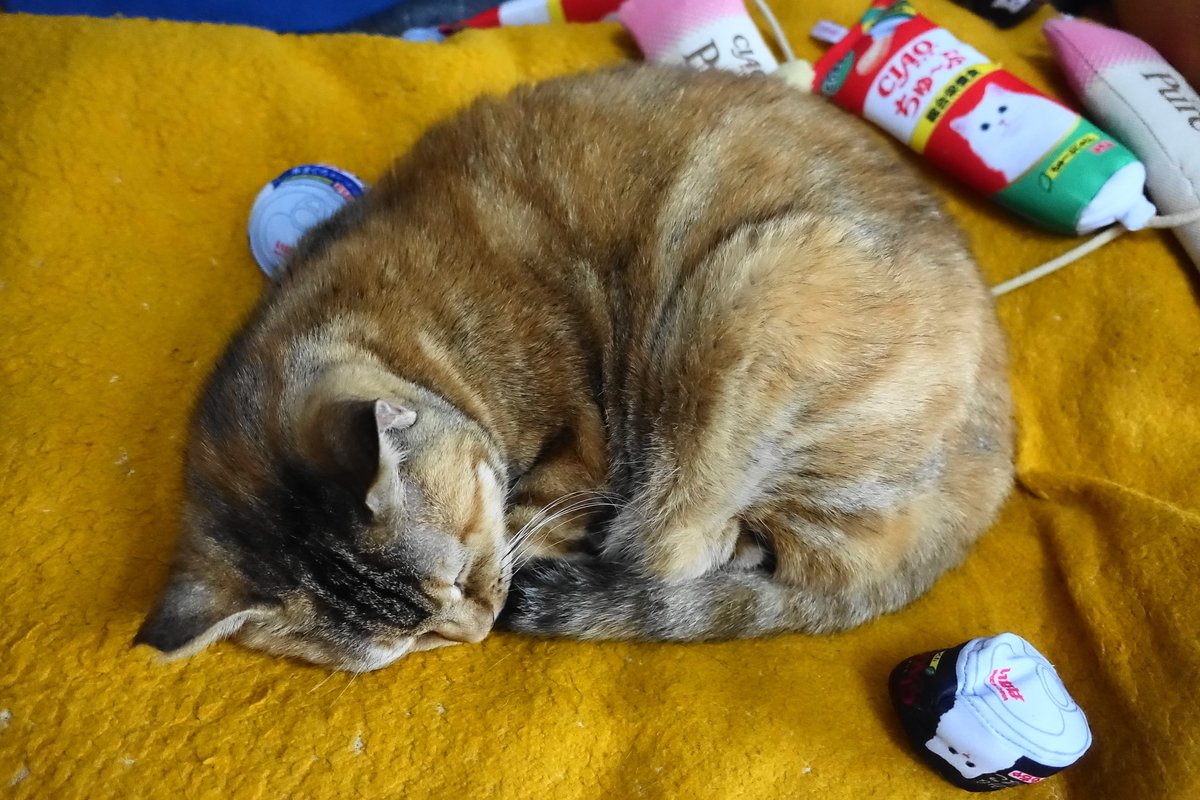 f:id:shigeo-t:20201220113858j:plain