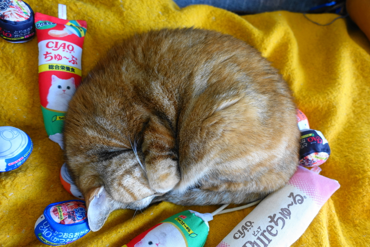 f:id:shigeo-t:20201220114630j:plain