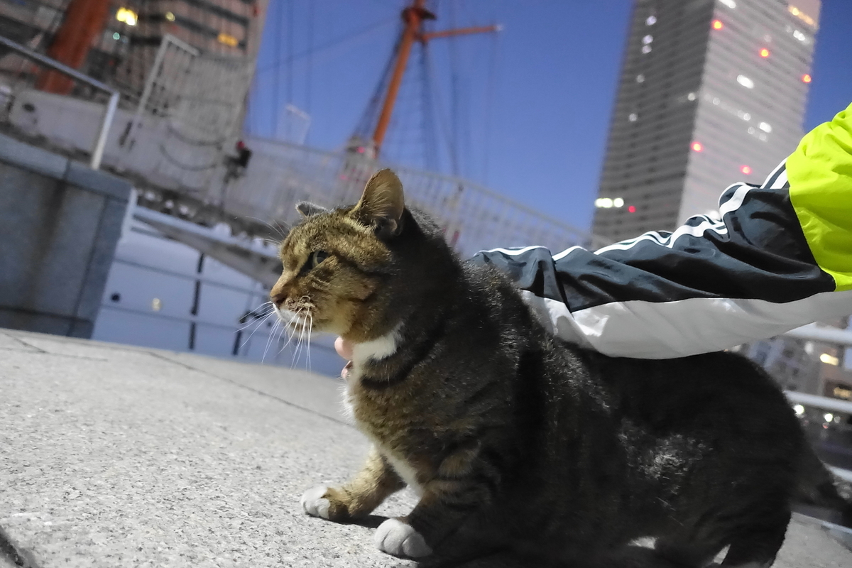 f:id:shigeo-t:20201224095453j:plain