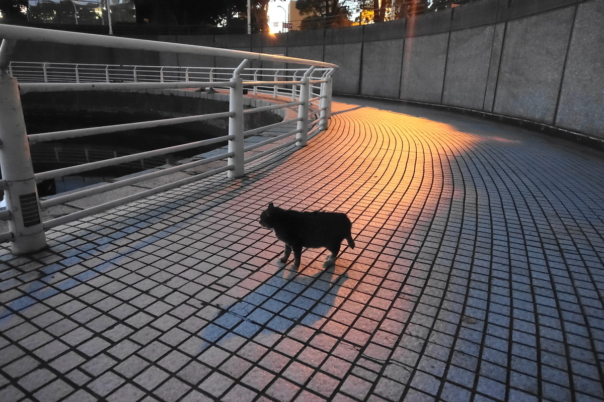 f:id:shigeo-t:20201224100116j:plain