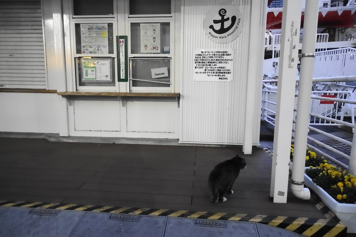 f:id:shigeo-t:20201224100316j:plain