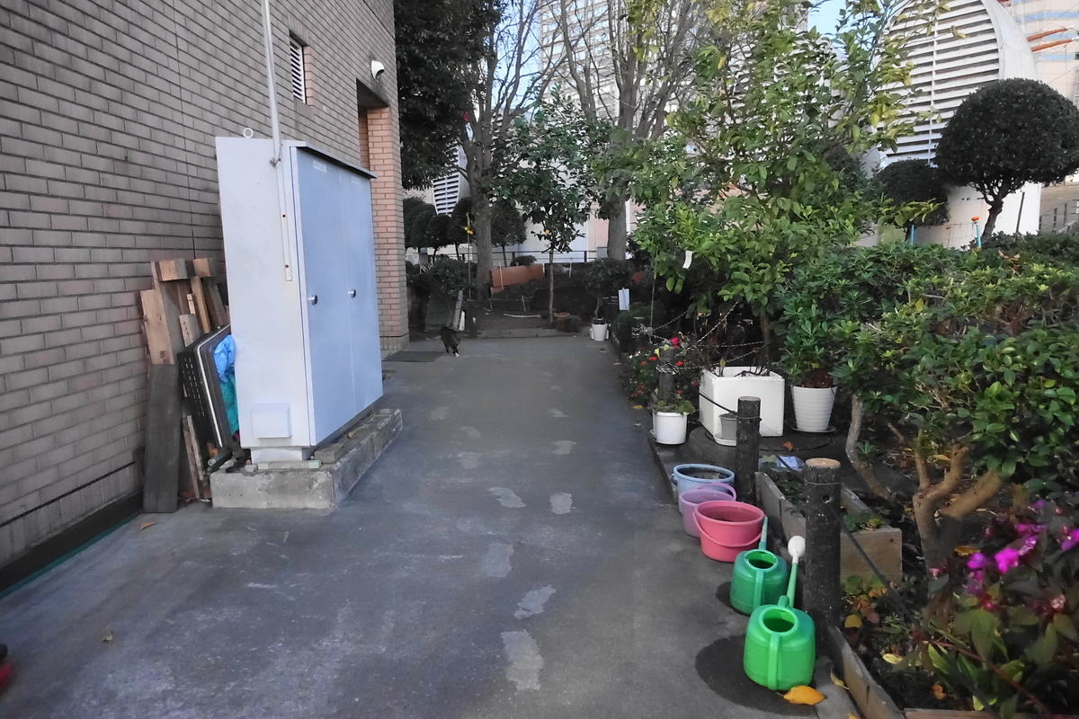 f:id:shigeo-t:20201224102419j:plain