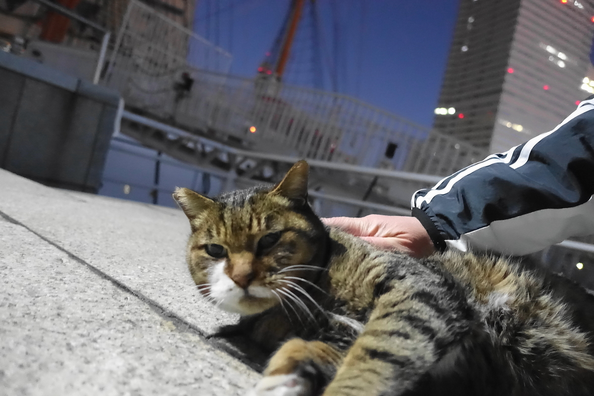 f:id:shigeo-t:20201228141404j:plain