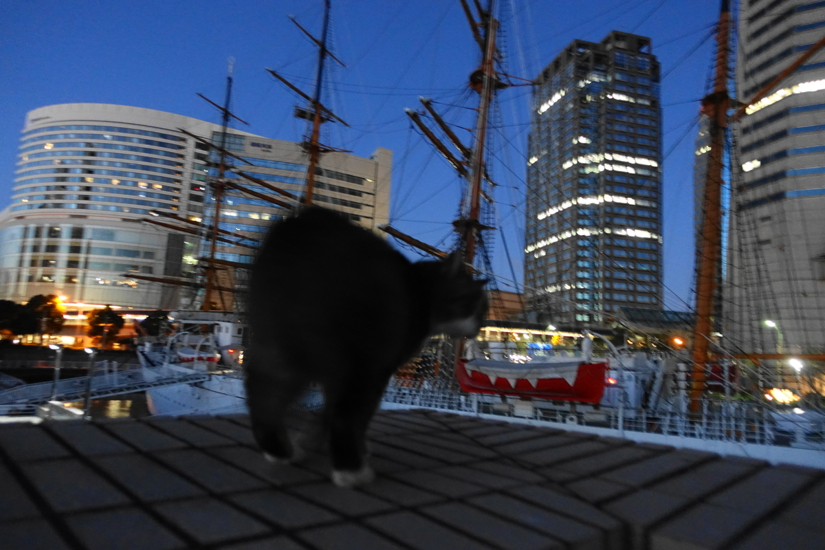 f:id:shigeo-t:20201228143401j:plain