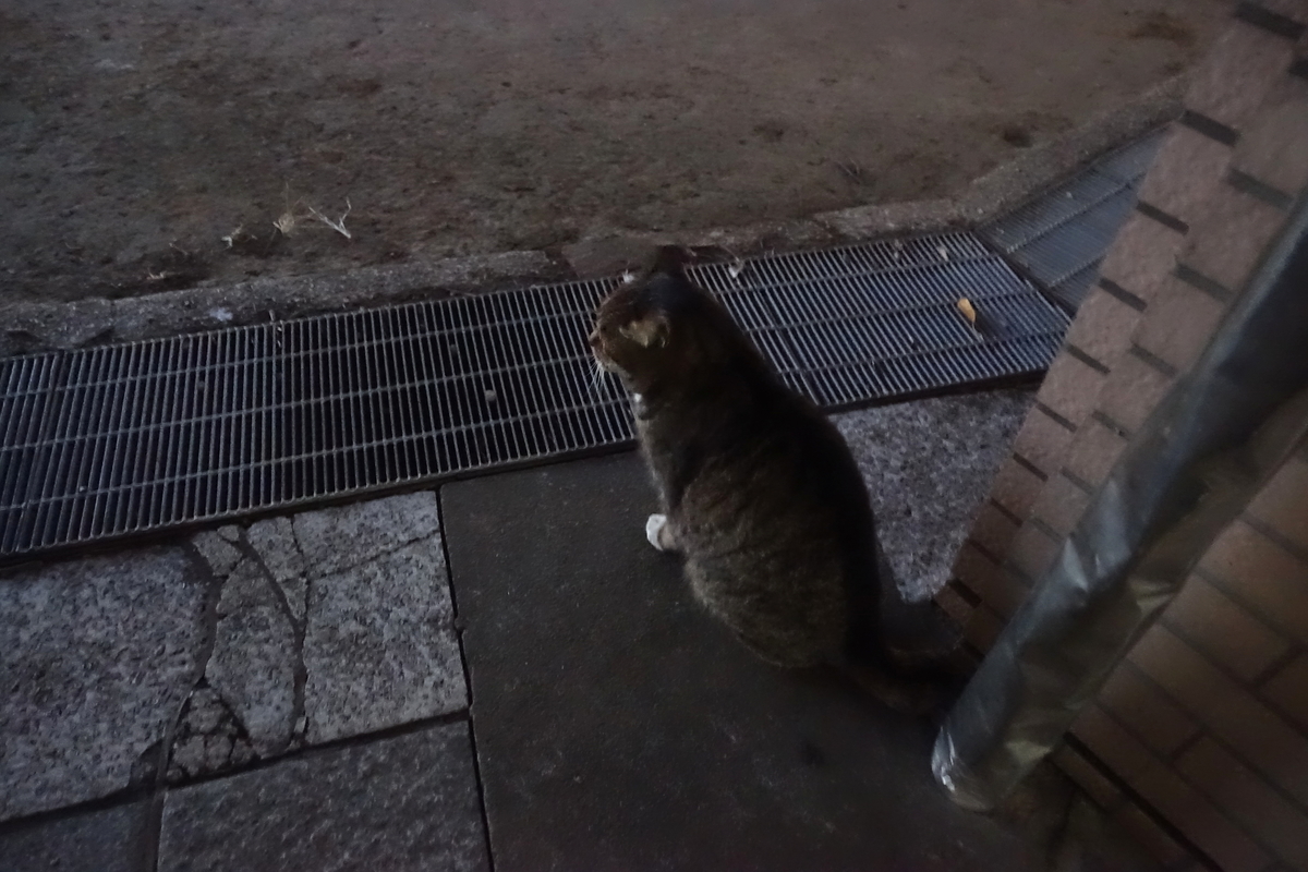 f:id:shigeo-t:20201231112631j:plain