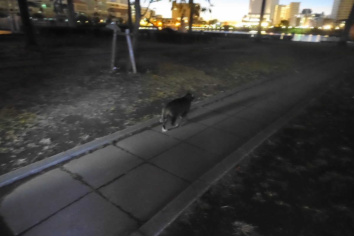 f:id:shigeo-t:20201231114655j:plain