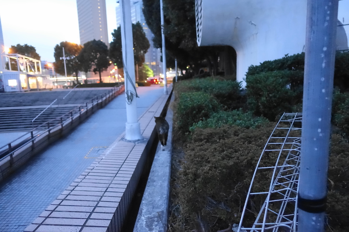 f:id:shigeo-t:20210111104833j:plain