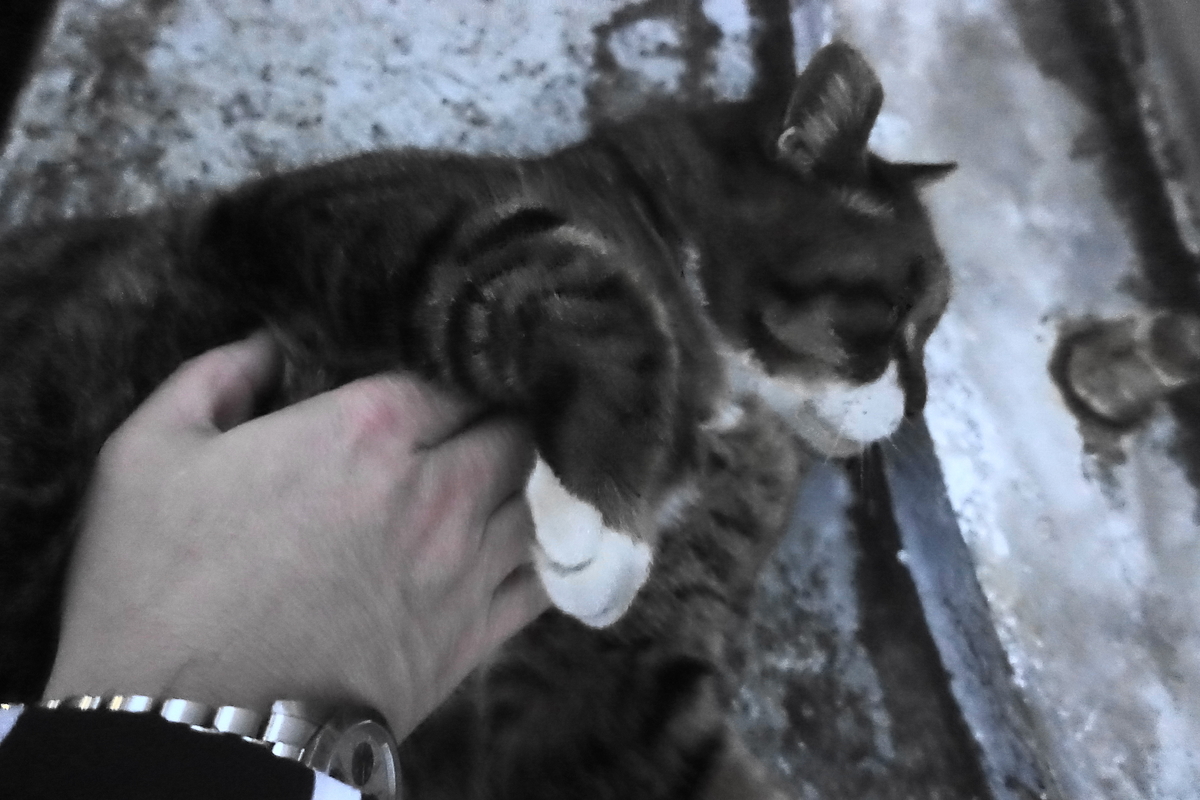 f:id:shigeo-t:20210111110108j:plain