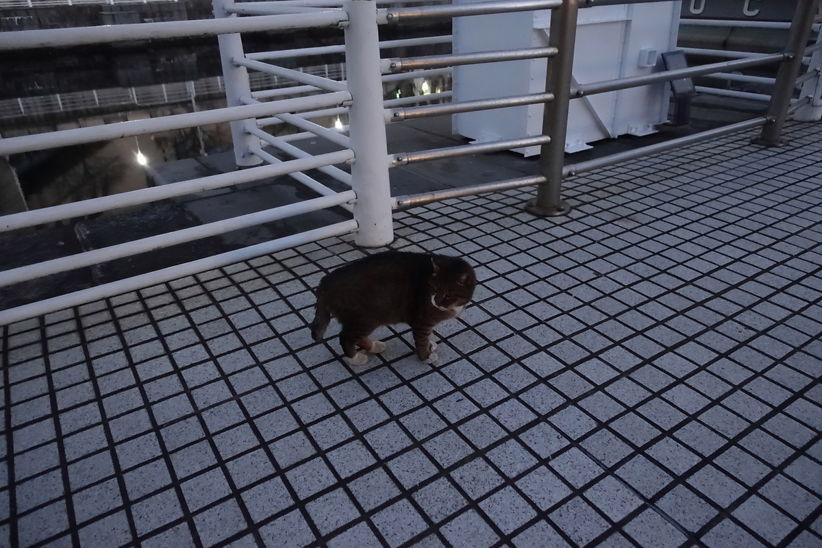 f:id:shigeo-t:20210113092902j:plain