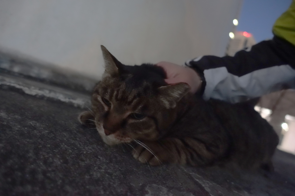 f:id:shigeo-t:20210113093844j:plain