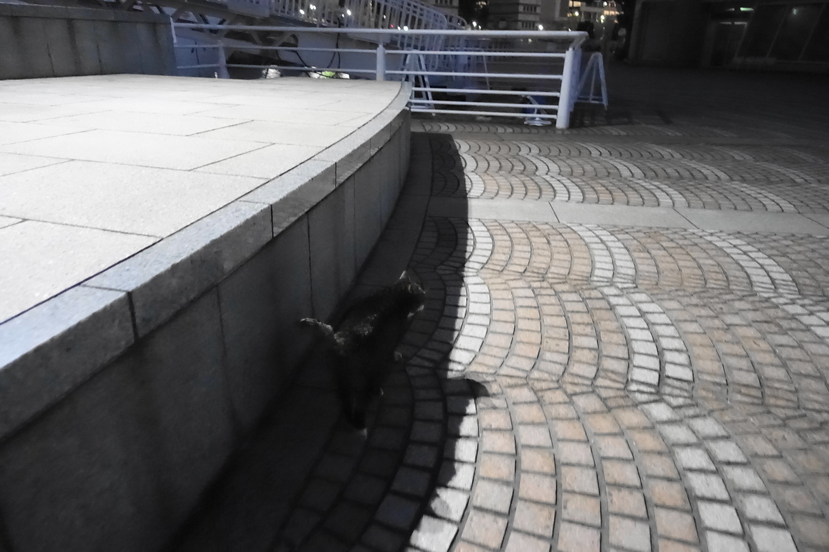 f:id:shigeo-t:20210113094113j:plain