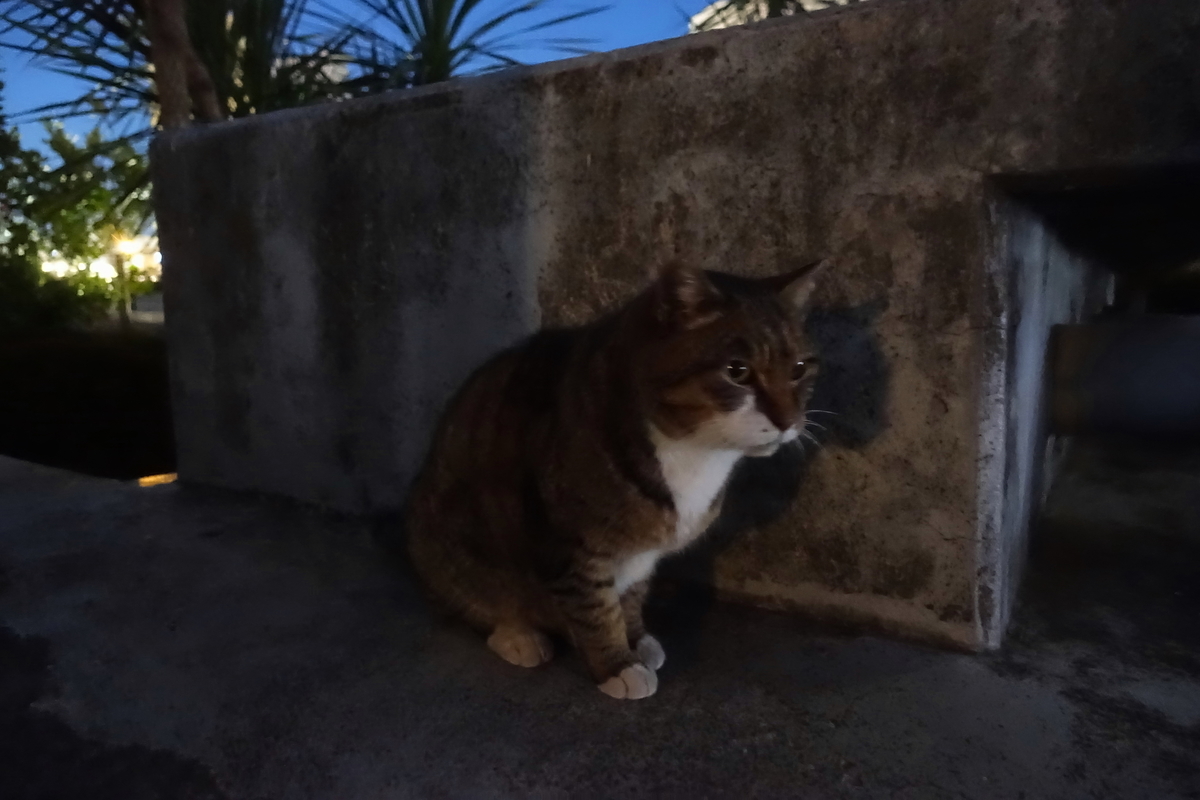 f:id:shigeo-t:20210113095238j:plain