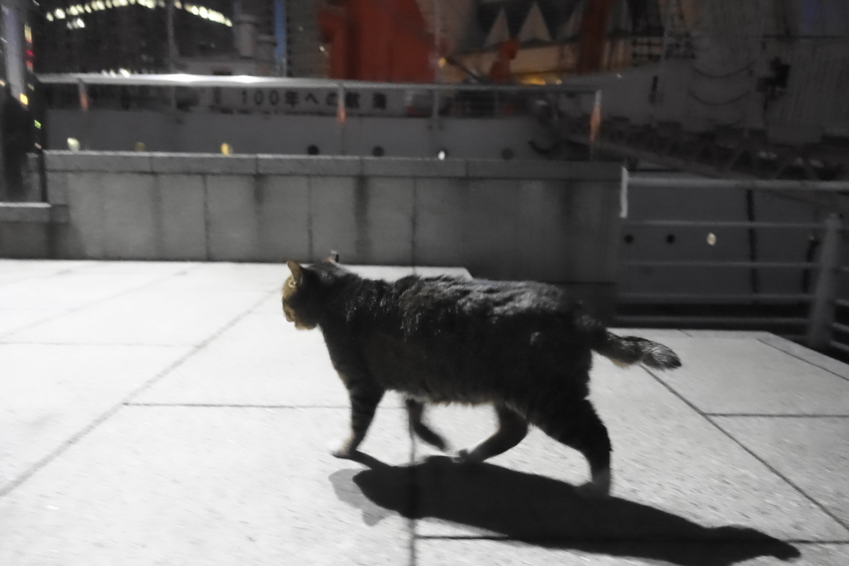 f:id:shigeo-t:20210126104226j:plain