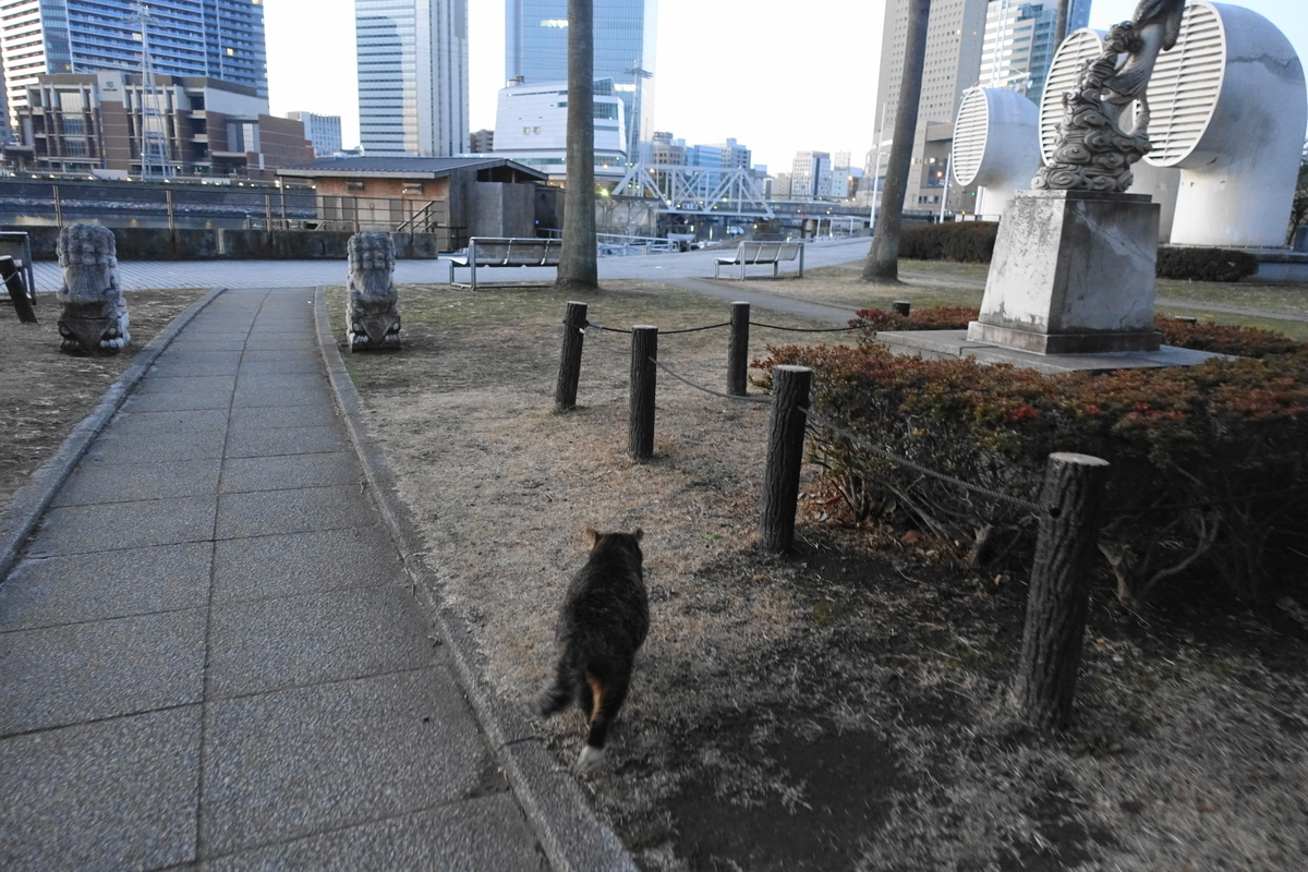 f:id:shigeo-t:20210213093538j:plain