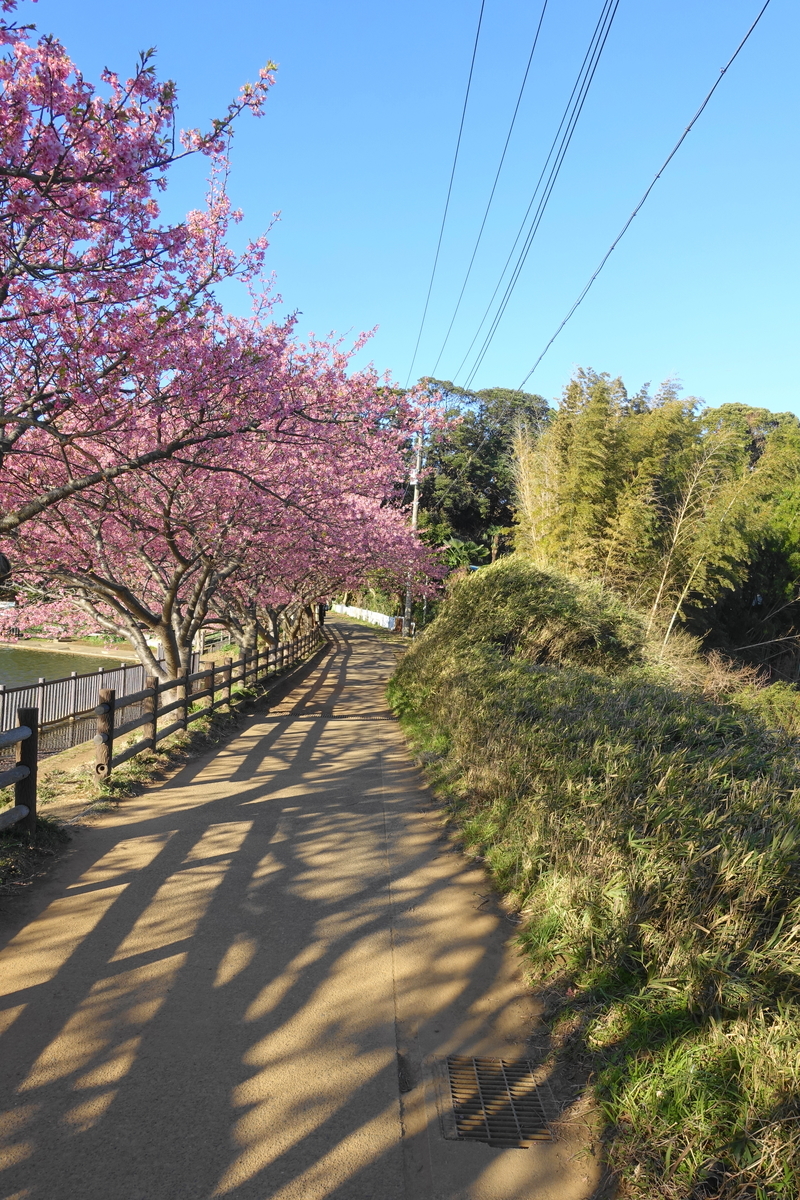 f:id:shigeo-t:20210220111248j:plain