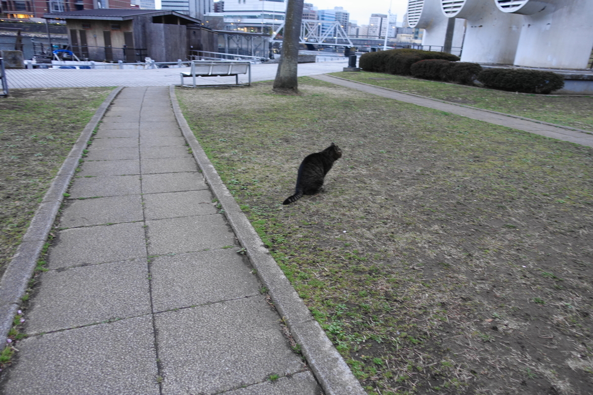 f:id:shigeo-t:20210312105040j:plain