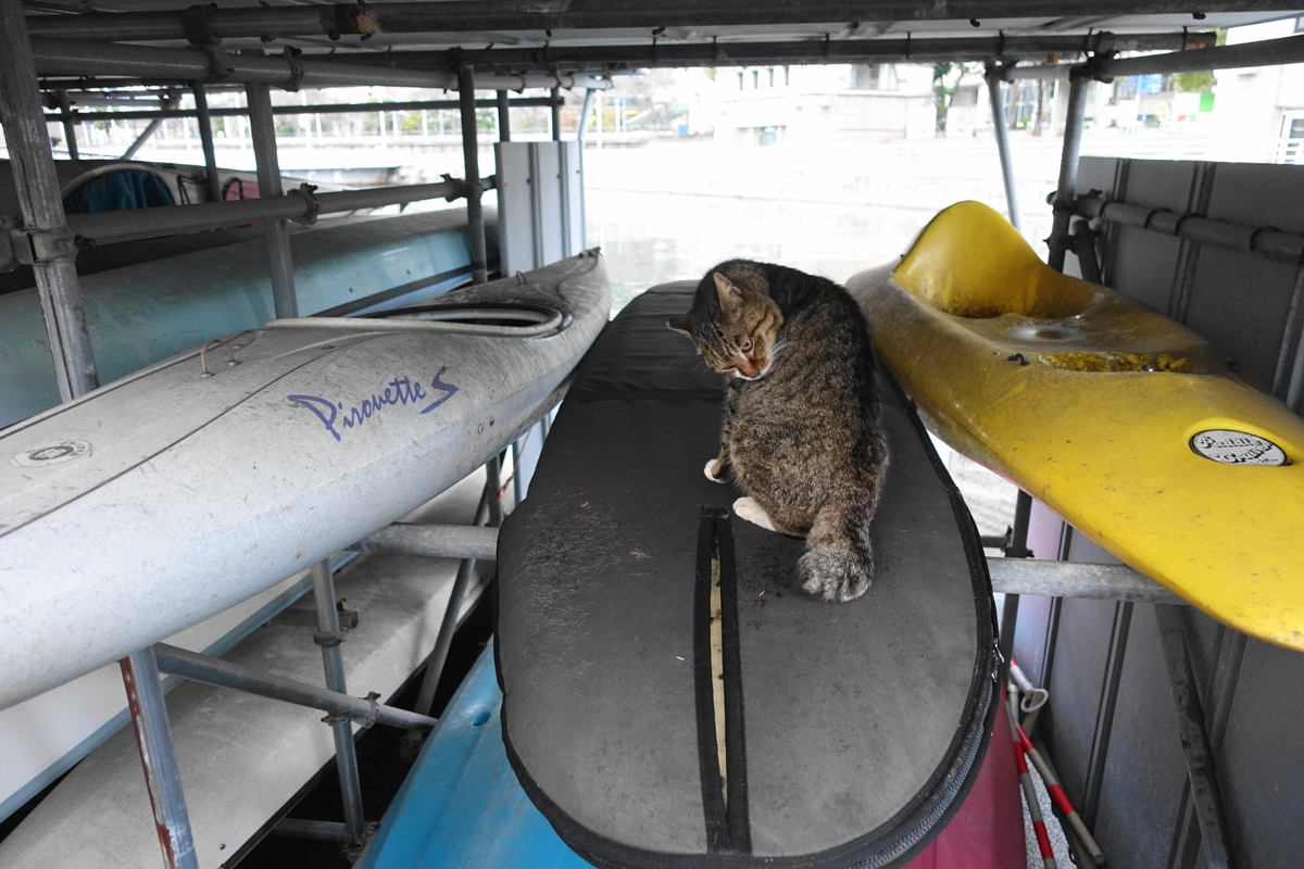 f:id:shigeo-t:20210317093224j:plain