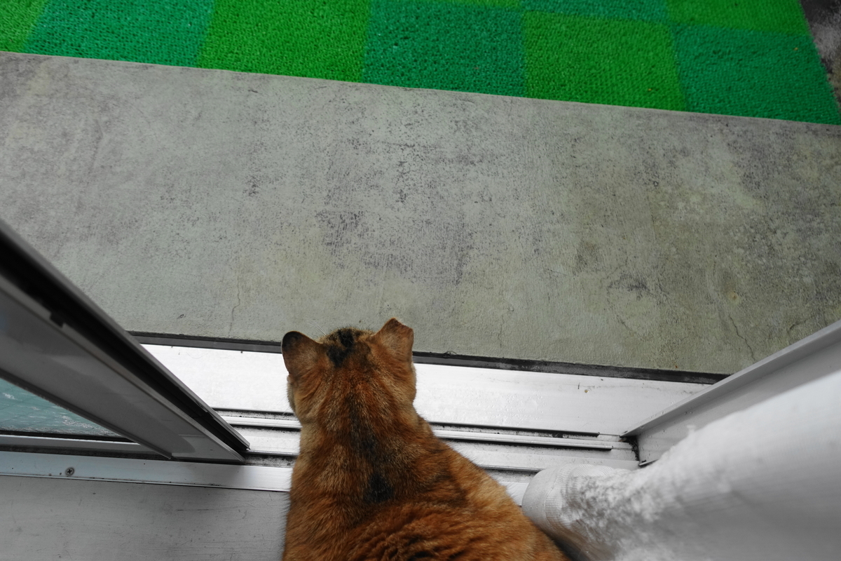f:id:shigeo-t:20210320112637j:plain