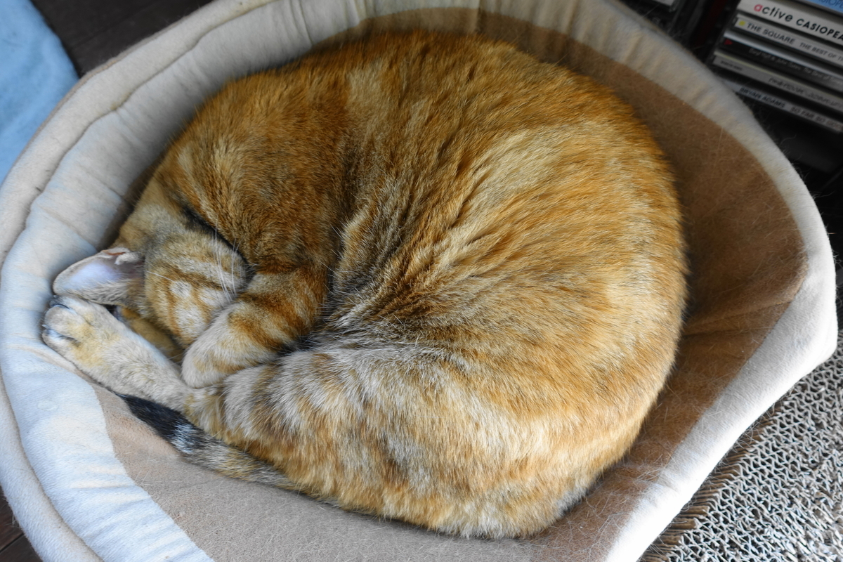 f:id:shigeo-t:20210324095138j:plain