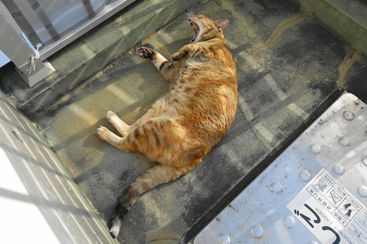 f:id:shigeo-t:20210324100118j:plain