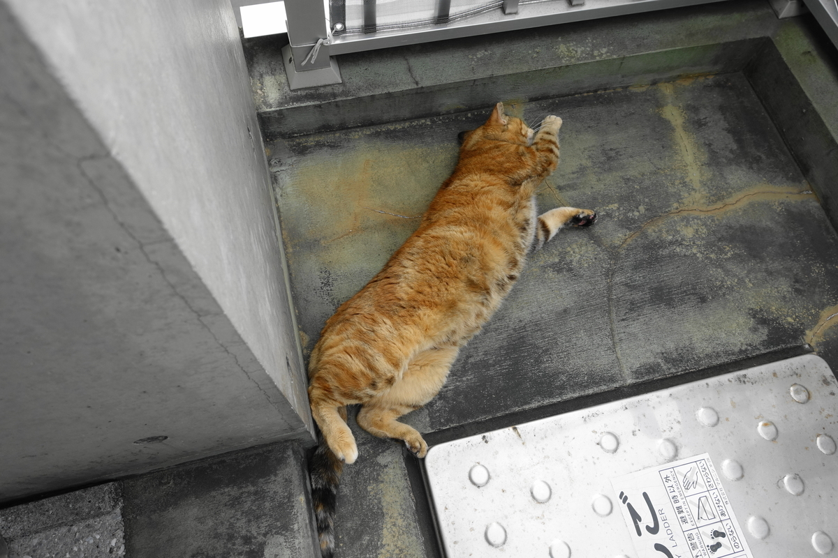 f:id:shigeo-t:20210324100304j:plain